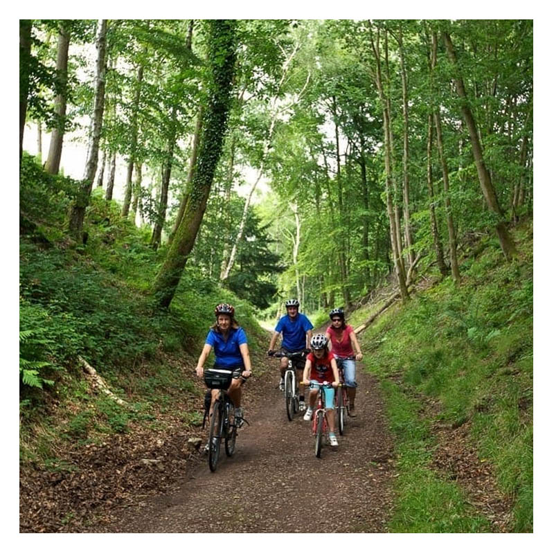 Cycling in the Forest of Dean with the Tudor Farmhouse Hotel