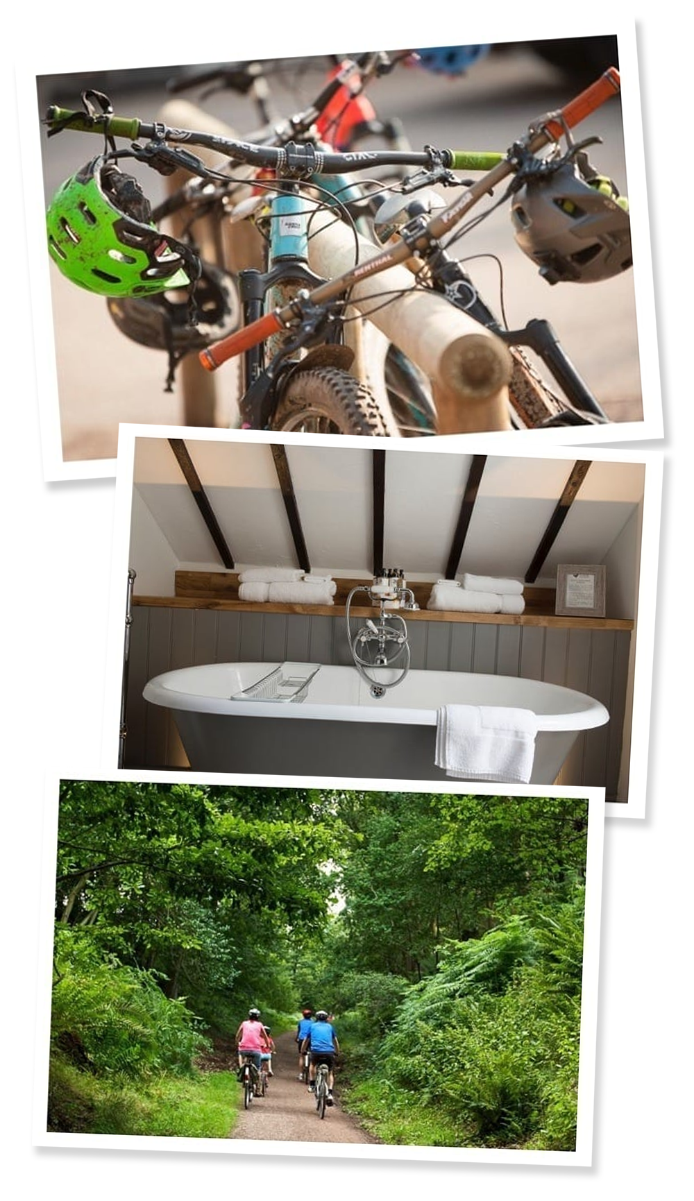 cycling experience, with Tudor Farmhouse Hotel. Clearwell, Forest of Dean