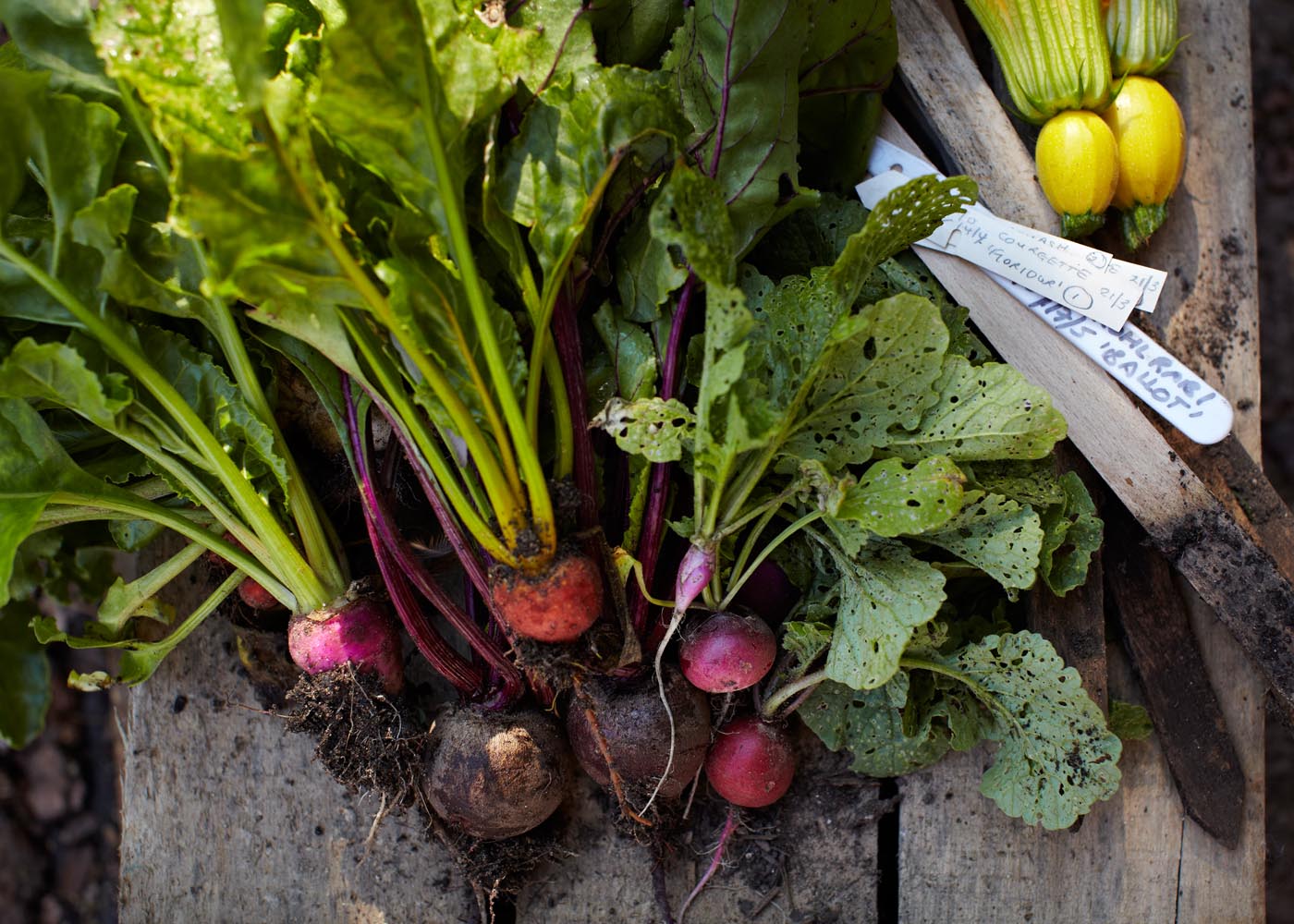 fresh vegetables from the garden of Tudor Farmhouse Hotel, Forest of Dean