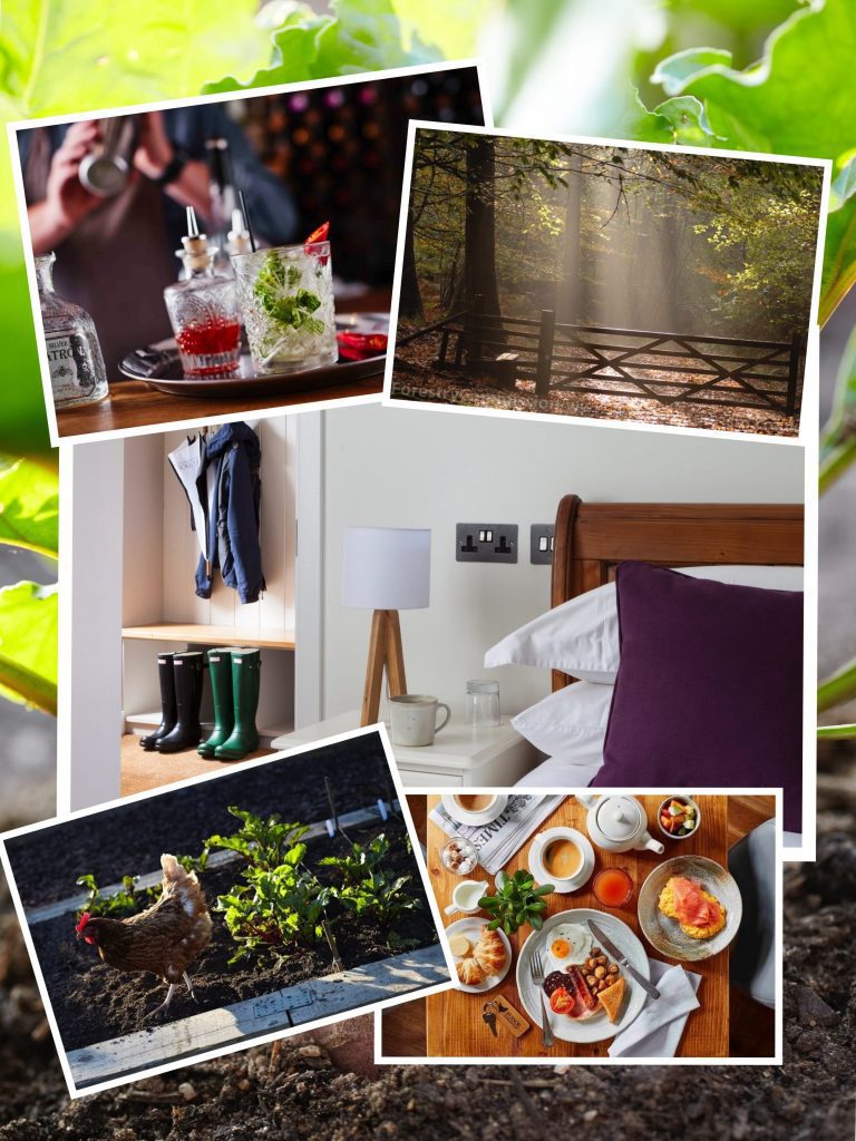 Tudor Farmhouse; cocktails; chickens