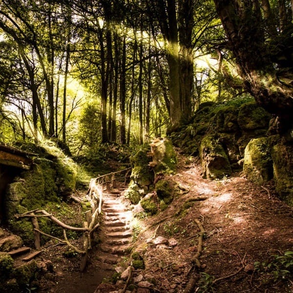 puzzlewood, Tudor Farmhouse Hotel. Clearwell, Forest of Dean