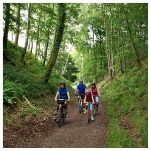 Cycling in the Forest of Dean
