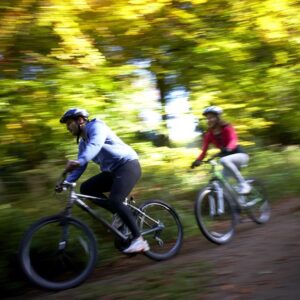 Cycling in the Forest of Dean
