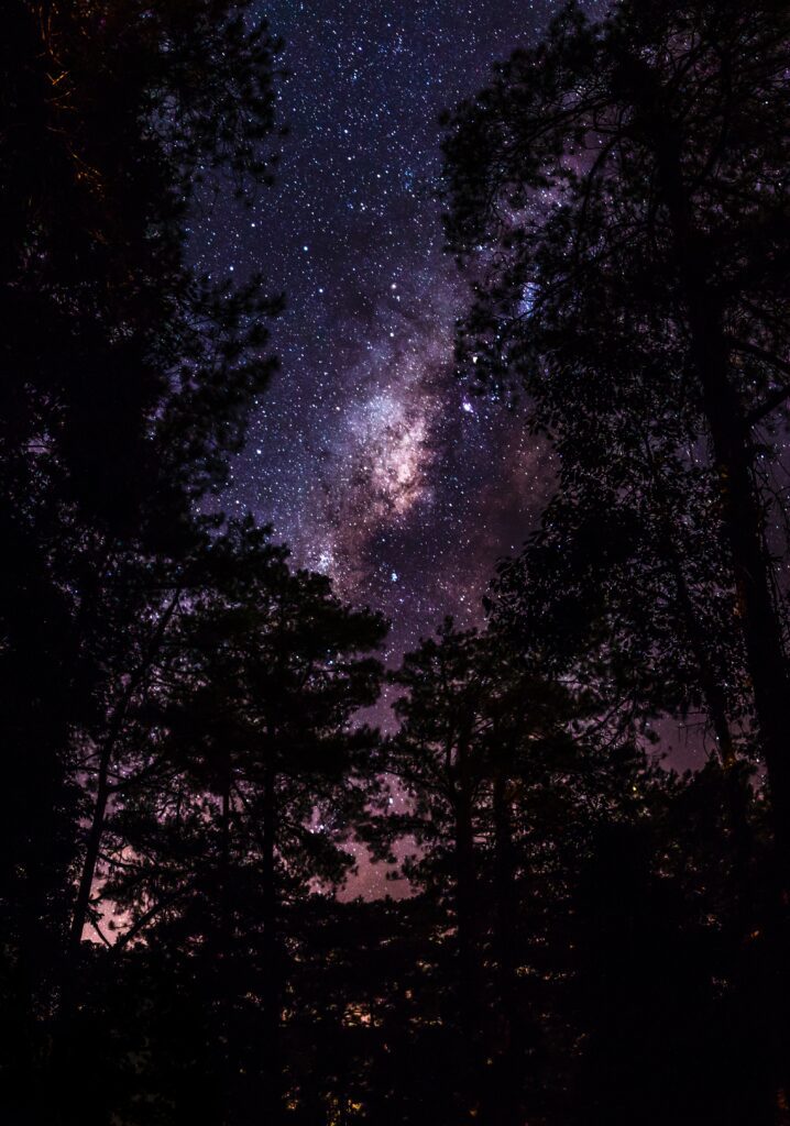 Night Sky Stargazing Forest of Dean