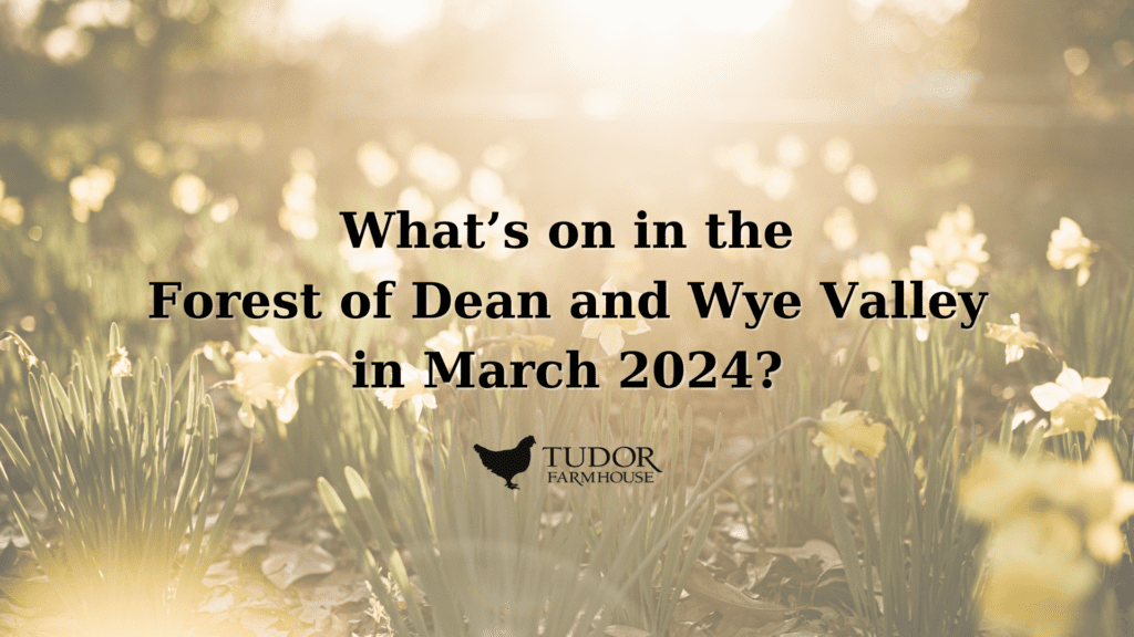 March 2024 Events in Forest of Dean and Wye Valley: Discover Wildlife, Crafts, and Cultural Festivities
