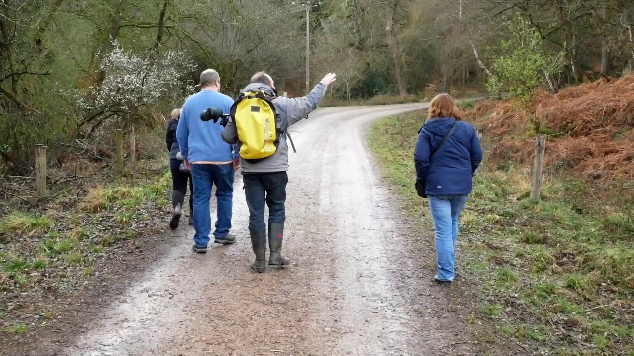 Ed Drewitt taking a group on a wildlife safari