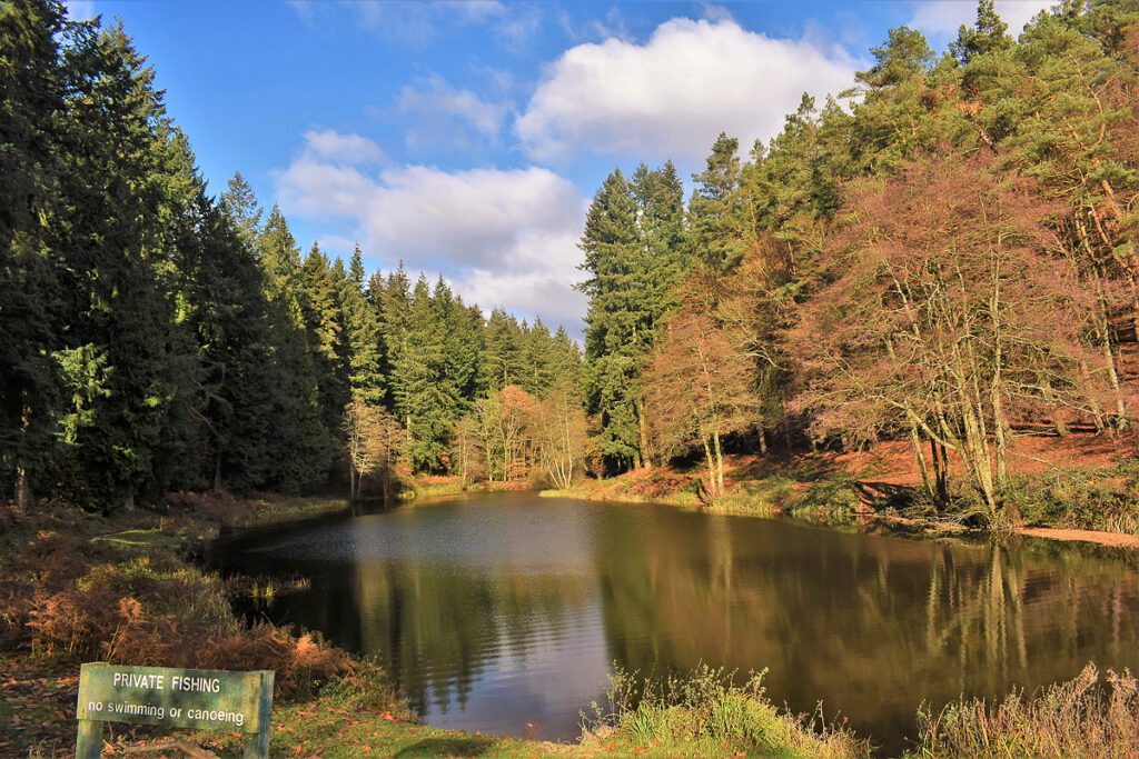 Autumn Colours at Mallards Pike